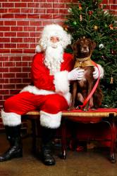 1421116_10100732778867259_7780895456167241681_o